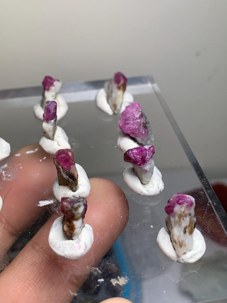 May include: A collection of small, raw, deep pink ruby crystals embedded in white matrix rock. Each individual stone is secured in a small, circular white clay base, arranged in rows on a clear, transparent acrylic display stand.