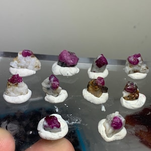 May include: A collection of ten small, raw ruby crystals embedded in white, opaque mineral matrix. Each individual stone is secured in a small, circular white clay base, displaying deep magenta-red hues and irregular, natural crystalline textures.