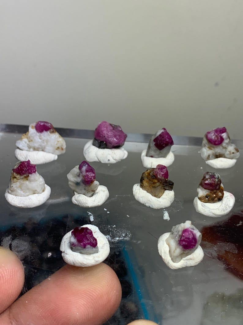 May include: A collection of ten small, raw ruby crystals embedded in white, opaque mineral matrix. Each individual stone is secured in a small, circular white clay base, displaying deep magenta-red hues and irregular, natural crystalline textures.