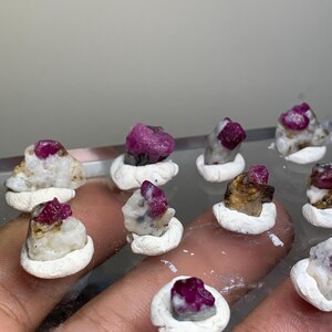May include: A collection of small, raw, deep pink ruby crystals embedded in rough, white, and grey mineral matrix stones. Each individual crystal is set into a small, circular, white clay base to hold it upright for display and examination.
