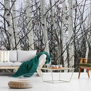 Puede incluir: Un sofá gris claro con un cojín a rayas y una manta verde oscuro, una mesa de centro de madera con tres cuencos pequeños, un sillón verde con patas de madera y un puf redondo trenzado frente a un mural de pared de abedules blancos.