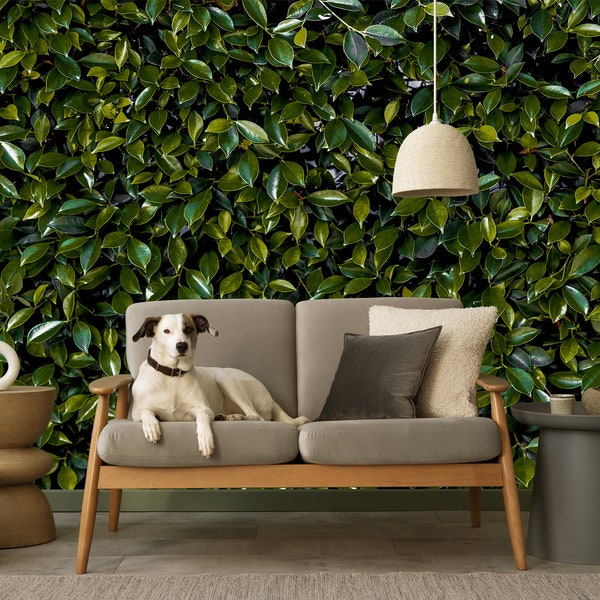 Botanical Wallpaper Removable Green Leaves Wall Paper, Leafy Wallpaper Nature Wall Mural Peel and Stick Floral Wallpaper Bedroom Plant Decor
