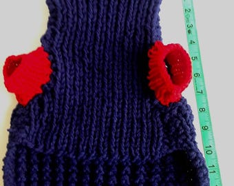 May include: A blue knitted dog sweater with red knitted sleeves. The sweater is made with a chunky yarn and has a loose fit.