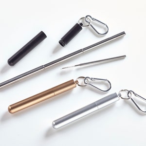 May include: Three reusable metal straws with cleaning brushes and carrying cases. The straws are silver, gold, and black. Each straw has a carabiner clip attached to the case.