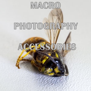 Peut inclure: Gros plan d'une guêpe jaune et noire aux ailes transparentes. La guêpe est couchée sur le dos, les pattes en l'air. Le texte "MACRO PHOTOGRAPHY ACCESSORIES" est écrit au-dessus de la guêpe.