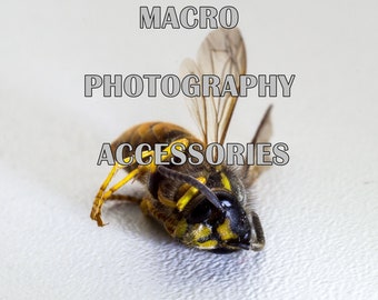 All you need for MACRO photography !!