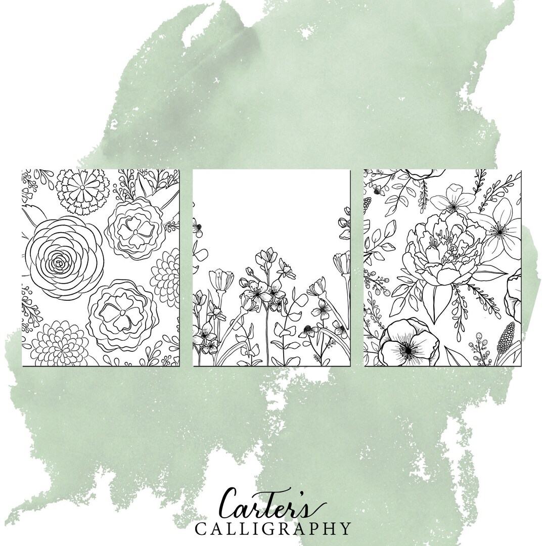 Flowers Adult Coloring Pages Printable Instant Digital Download - Etsy