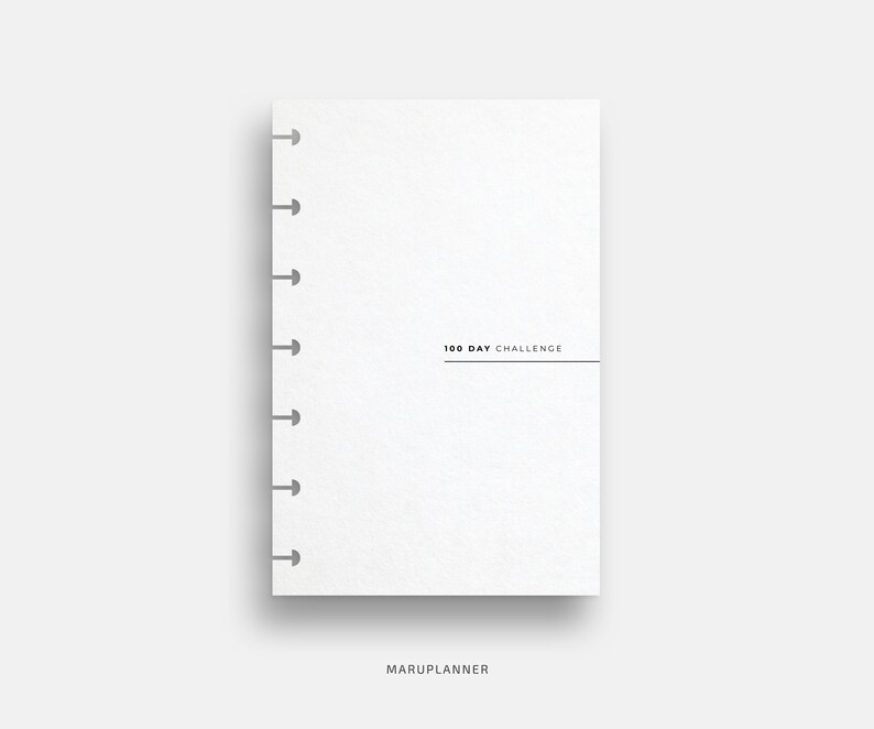 100 Day Challenge for Happy Planner Mini HP Mini, Longterm Goal