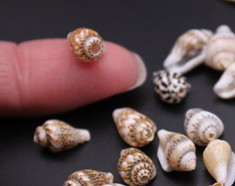 Seashell Beads 100 Pk Miniature Conch Shells w/ Drilled Holes for Necklace, Beach Craft, Jewelry Making, Bracelets, Zen Garden, Craft