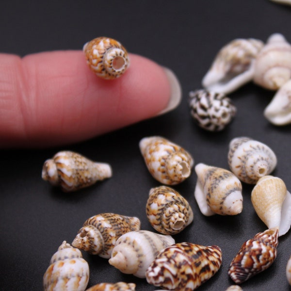 Seashell Beads 100 Pk Miniature Conch Shells w/ Drilled Holes for Necklace, Beach Craft, Jewelry Making, Bracelets, Zen Garden, Craft