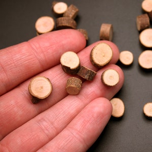 May include: A collection of small, round, wooden slices in various shades of brown. The slices are arranged on a dark surface and in a hand.
