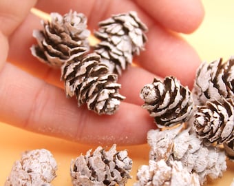 Frosted 30Pcs Mini Pinecones for Miniature Holiday Decor, Wreaths, Dollhouse, Fairy Garden, Ornaments