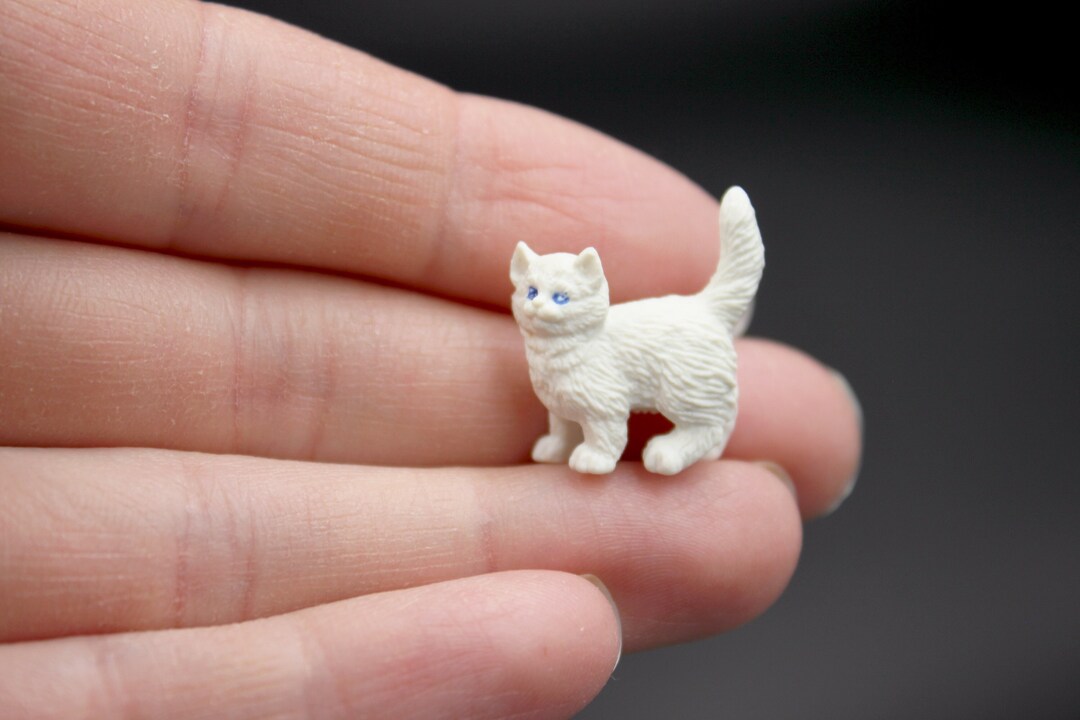 Tiny top white cat