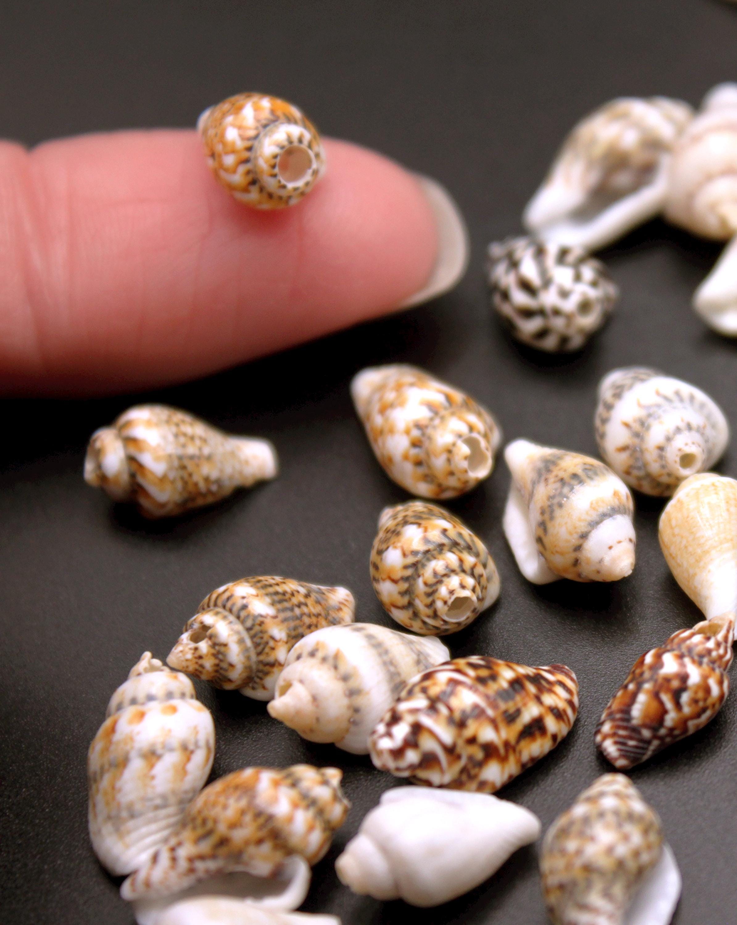 Mini Seashells: 100pk Natural Conch Shell Beads With Drilled Holes 