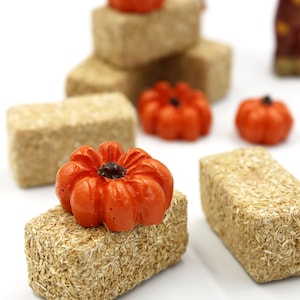 Miniature Fall Hay Bales and Pumpkins: Fairy Garden Decor (24 Pk)