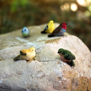 Miniature Bird 3 or 6 or 12 Pk for Fairy Garden, Mini Birdhouse, Tiny Nest, Birdcage, Dollhouse or Terrarium - Accessories for Tiny Crafts
