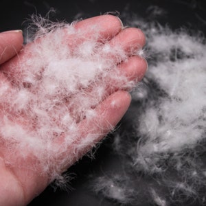 May include: A handful of white down feathers, soft and fluffy, against a black background.