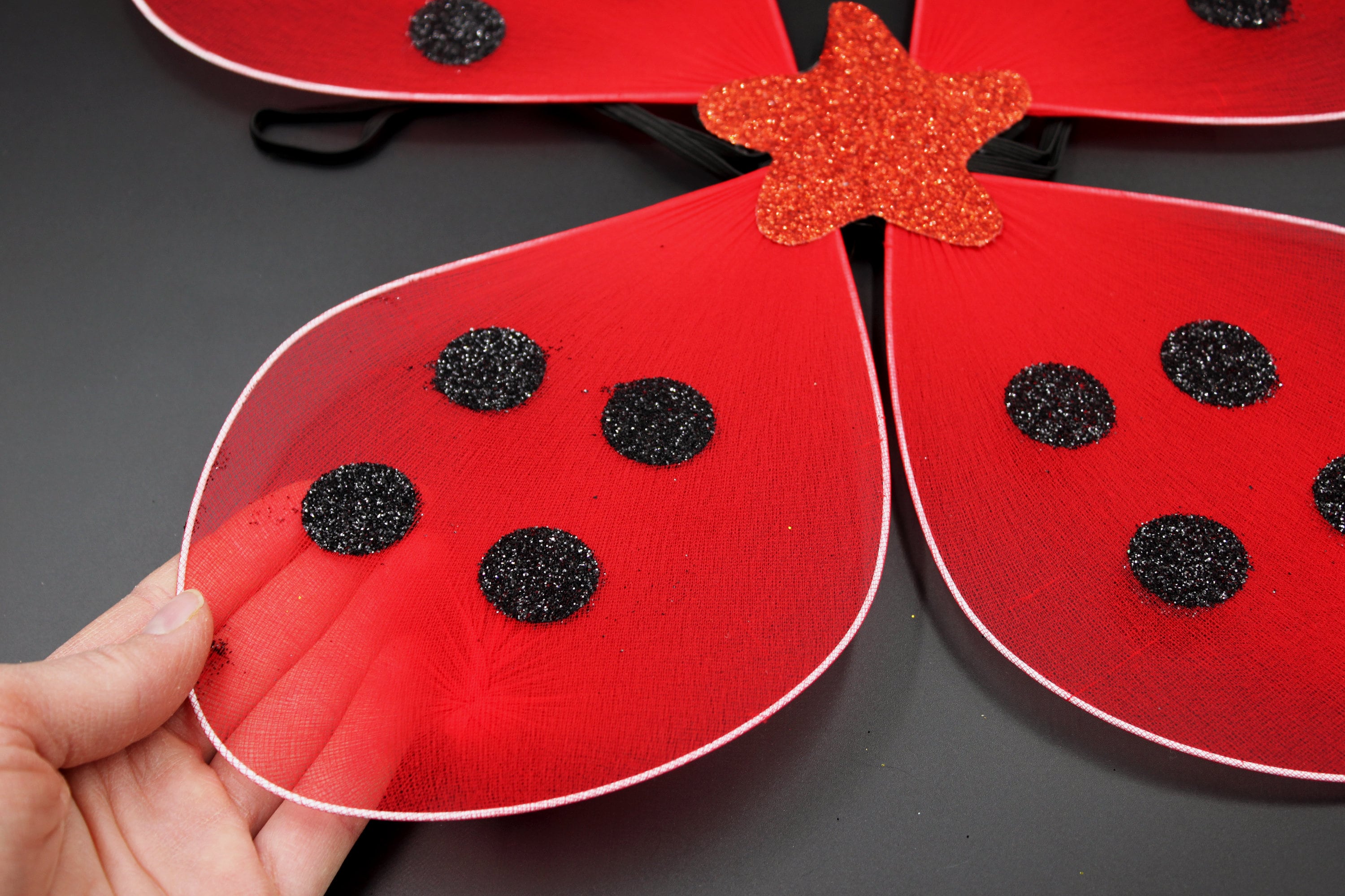 Ladybug Wing Set 2 Pieces Costume Accessory - Only $6.66 at Carnival Source