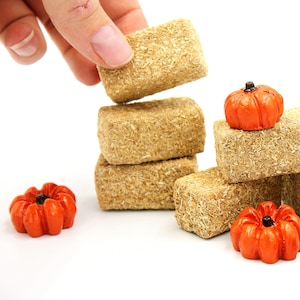 Pumpkins & Hay Bales - Miniature Fall Hay Bales and Pumpkins for Fairy Garden, Terrarium, Dollhouse, Halloween Village - Choose Mix Quantity