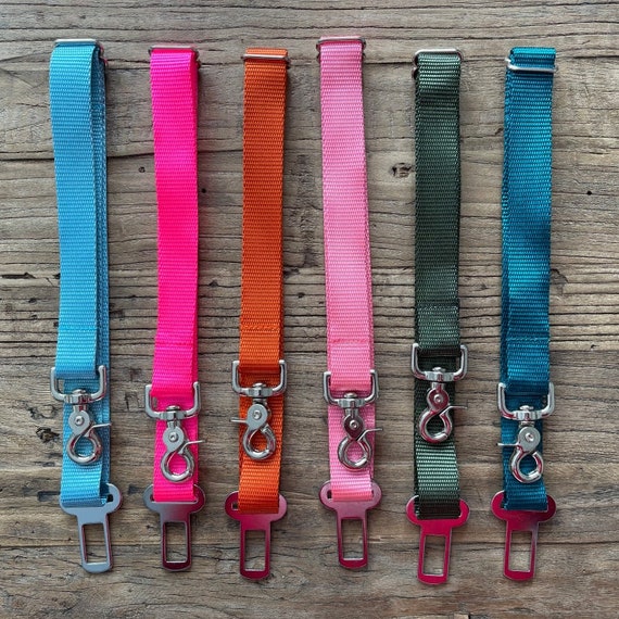 What States Require Seat Belts For Dogs