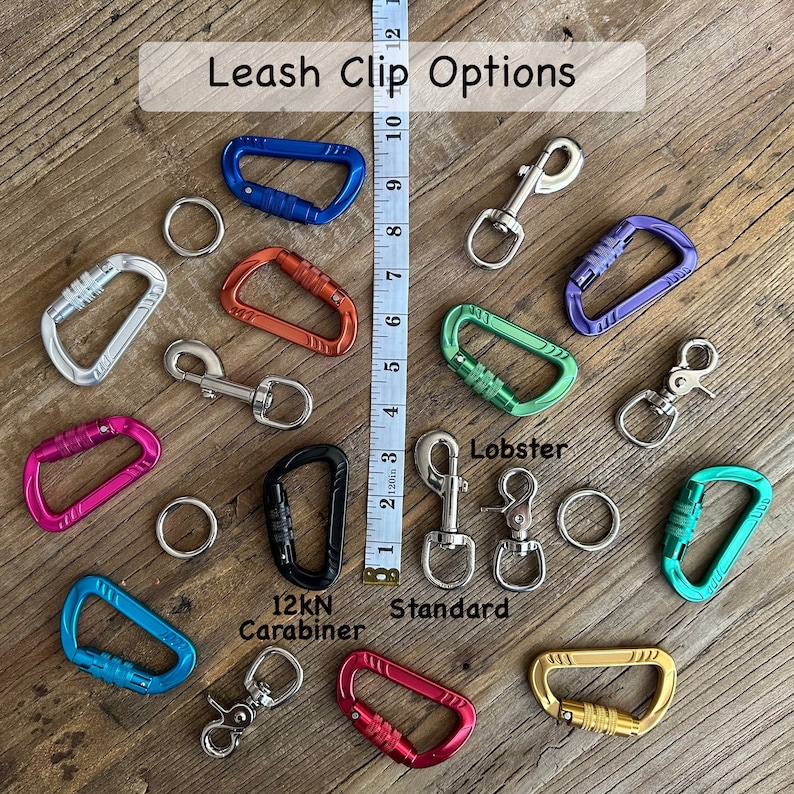 BLUE Ropes Professional Climbing Rope Dog Leash, Lead, Slip Lead, Handmade After Ordered image 5