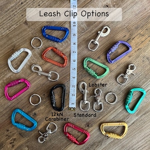 Design Your Perfect Leash 150 Climbing Rope Leashes, Handmade Dog Leashes and Collars, Recycled, Upcycled Brand Name Ropes image 7