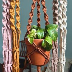 Puede incluir: Tres maceteros colgantes de macramé en diferentes colores: rosa, marrón y blanco. El macetero marrón tiene una pequeña planta en maceta colgando.