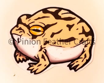 Desert Rain Frog Vinyl Sticker