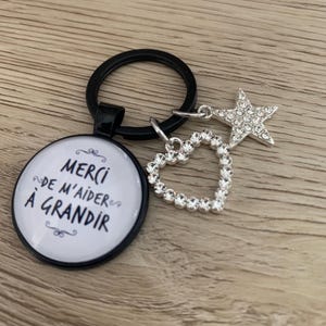 Keychain, thank you for helping me grow, gift, educator, teacher, ladybug, personalized