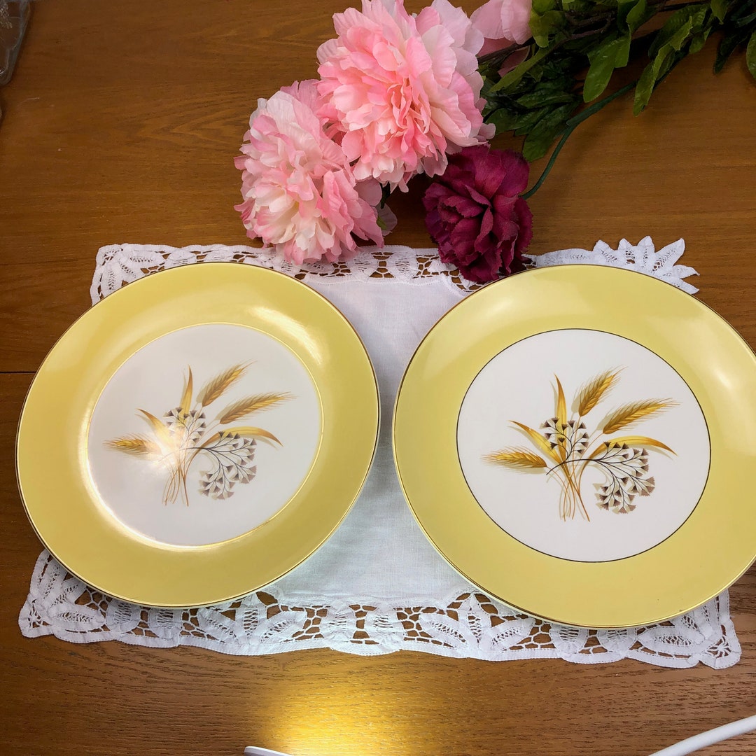Dinner Plates by Century Service Corp of Alliance Ohio by Homer