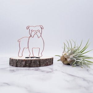 Wire sculpture of English bulldog, dog, pet portrait, pet memorial, wire art, office decor, dog lovers, gift, desk decor, desk accessories image 1