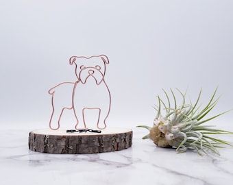 Wire sculpture of English bulldog, dog, pet portrait, pet memorial, wire art, office decor, dog lovers, gift, desk decor, desk accessories