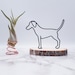 see more listings in the Dog section