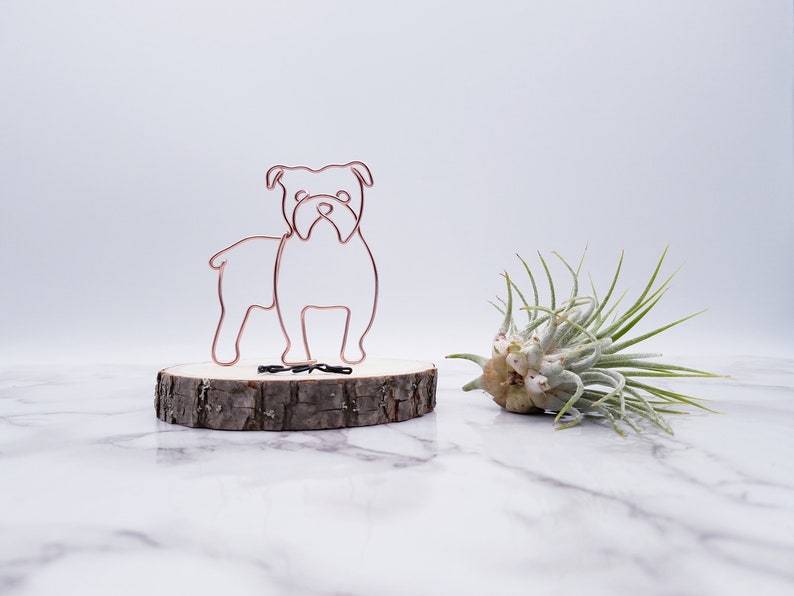 Wire sculpture of English bulldog, dog, pet portrait, pet memorial, wire art, office decor, dog lovers, gift, desk decor, desk accessories image 1