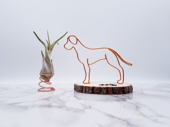 great dane accessories