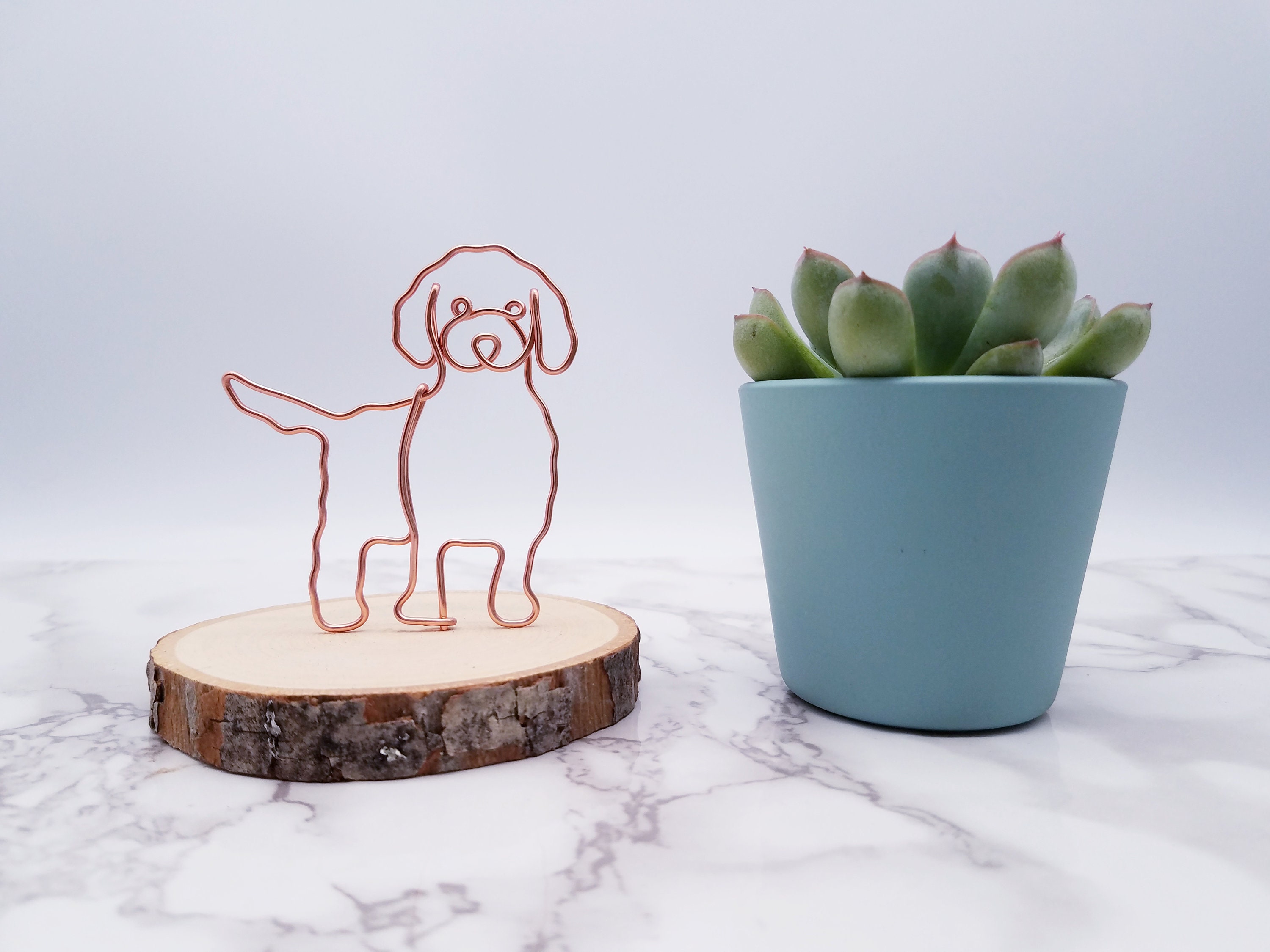 cavapoo accessories