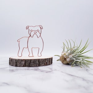 Wire sculpture of English bulldog, dog, pet portrait, pet memorial, wire art, office decor, dog lovers, gift, desk decor, desk accessories image 2