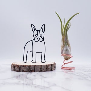 Wire sculpture of boston terrier, pet memorial, pet portrait, wire art, home decor, office decor, dog lovers, desk decor, desk accessories image 1