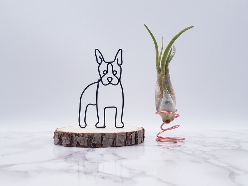Wire sculpture of boston terrier, pet memorial, pet portrait, wire art, home decor, office decor, dog lovers, desk decor, desk accessories image 1