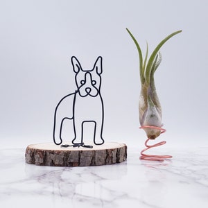 Wire sculpture of boston terrier, pet memorial, pet portrait, wire art, home decor, office decor, dog lovers, desk decor, desk accessories image 2