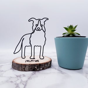 Wire sculpture of border collie, pet memorial, pet portrait, wire art, home decor, office decor, dog lovers, desk decor, desk accessories