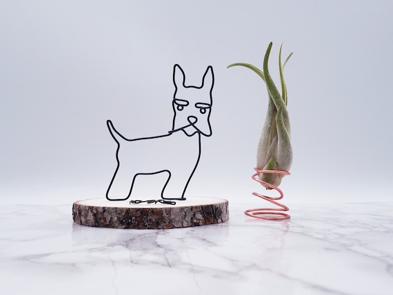 Schnauzer accessories top