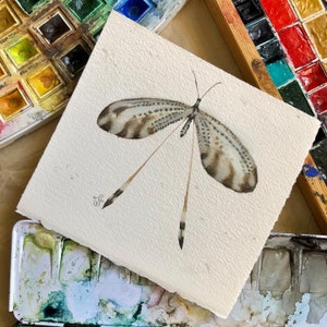 Original Butterfly Watercolor Acuarela Original Cuadro Mariposa - Select your favourite SALE!