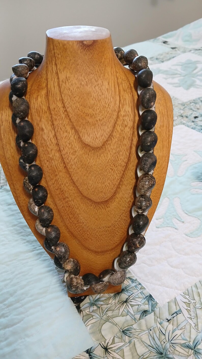 Chunky Hawaiian Kupee Shell Necklace, Polished Puka Shell Choker ...