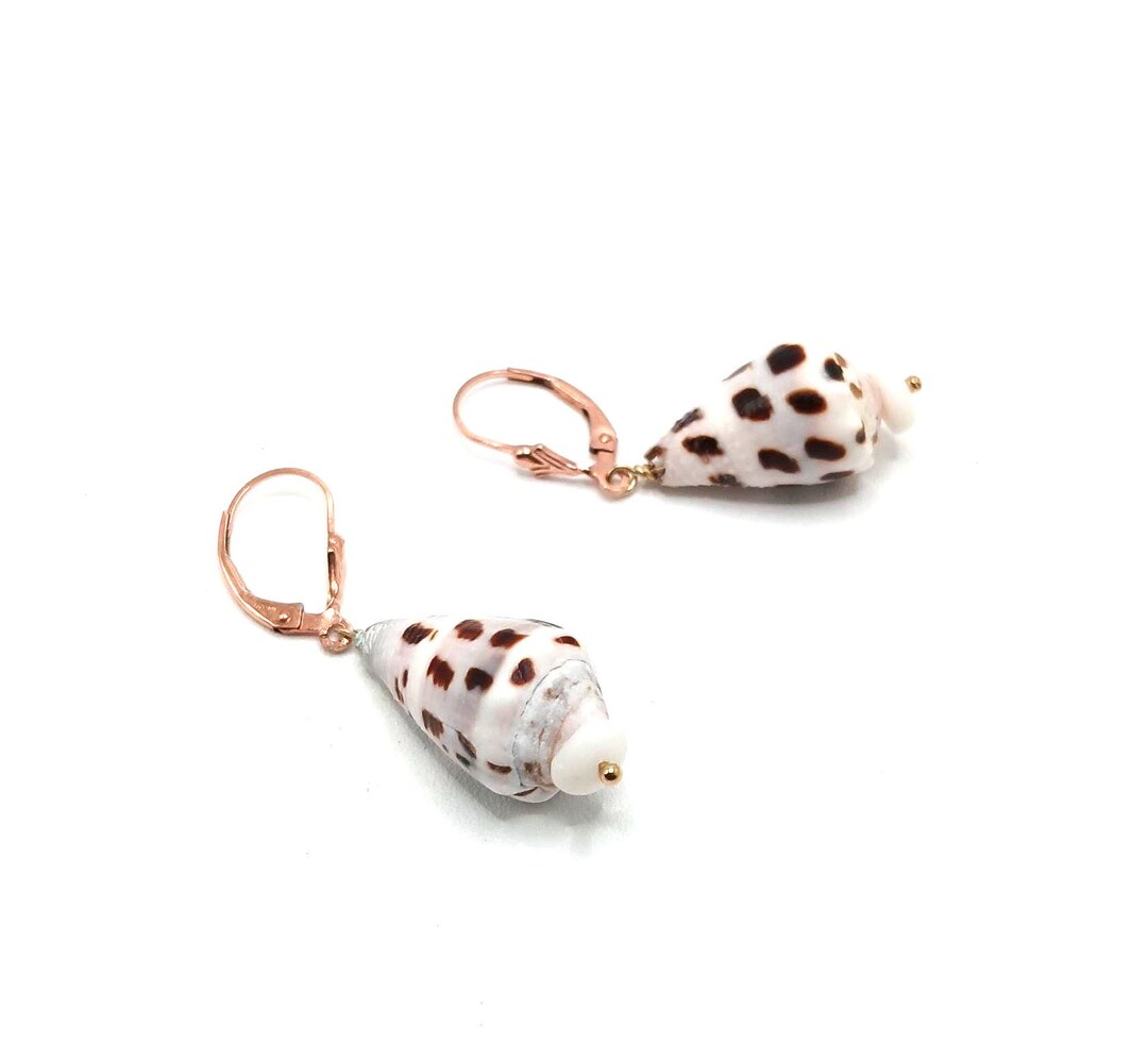 Rare Hebrew Cone Shell Earrings: South Pacific Jewelry - Etsy