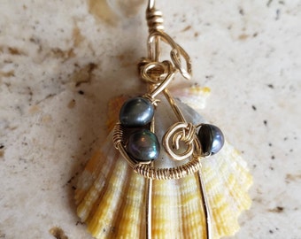 Hawaiian Moonrise Necklace, Sunrise Shell Necklace, Sunrise Pendant, SeaShell Pendant, Moonrise Shell, Hawaii Shell Jewelry, Rare Seashells