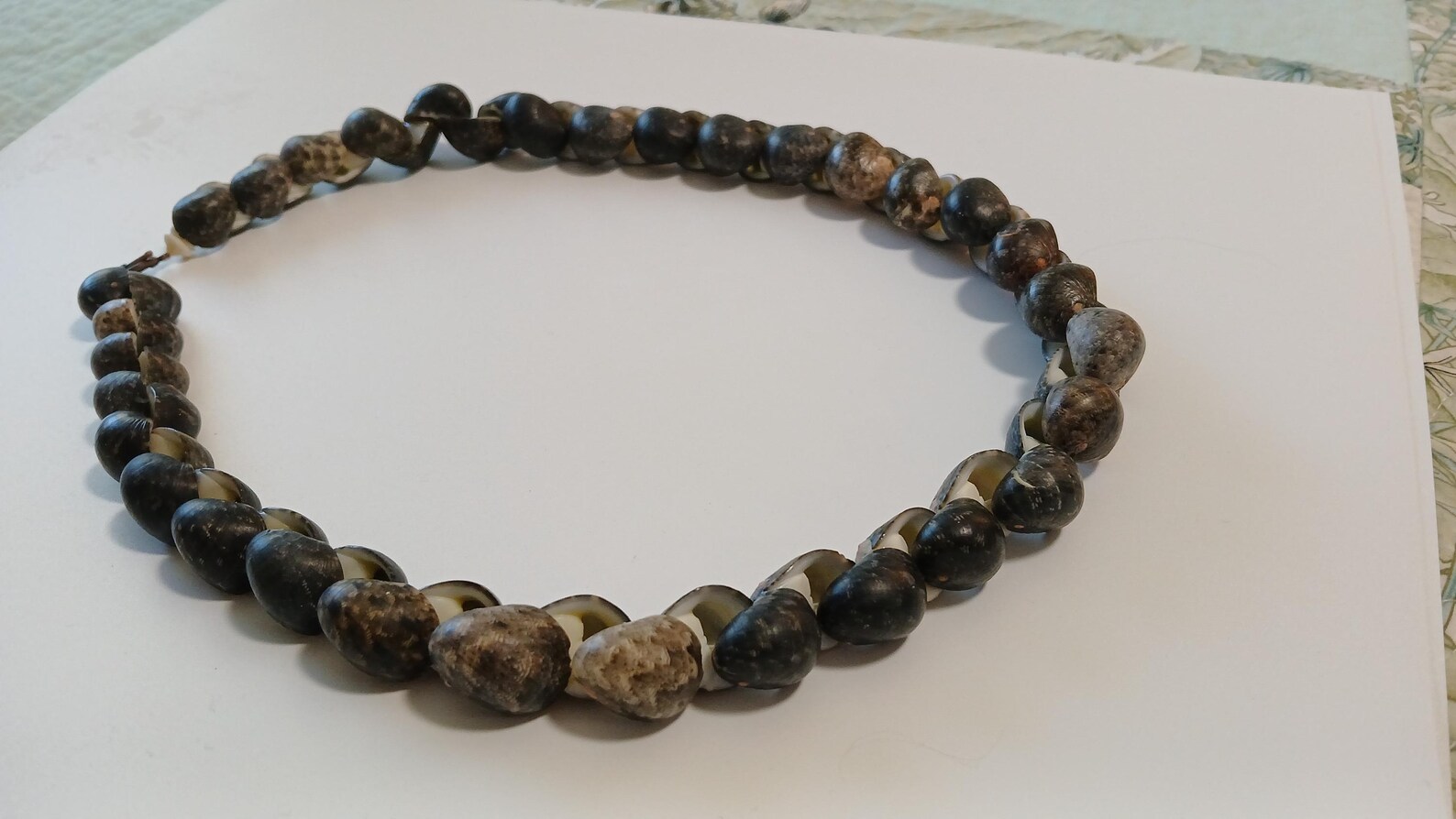 Chunky Hawaiian Kupee Shell Necklace, Polished Puka Shell Choker ...
