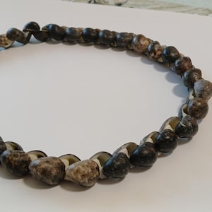 Chunky Hawaiian Kupee Shell Necklace, Polished Puka Shell Choker ...