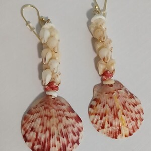 May include: A pair of dangle earrings featuring natural seashells. Each earring has a gold-colored hook, a cluster of small white shells, and a large, fan-shaped shell with red and white stripes. The earrings are displayed against a white background.
