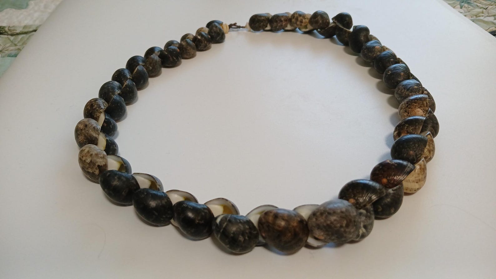 Chunky Hawaiian Kupee Shell Necklace, Polished Puka Shell Choker ...